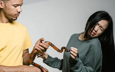 Sortir de la dépendance affective : des symptômes à la psychothérapie