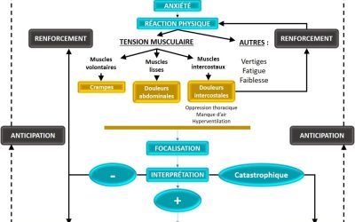 Le schéma général de l’anxiété